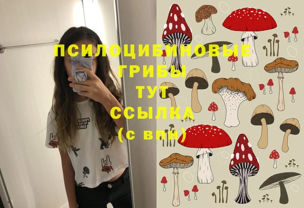спайс Медногорск