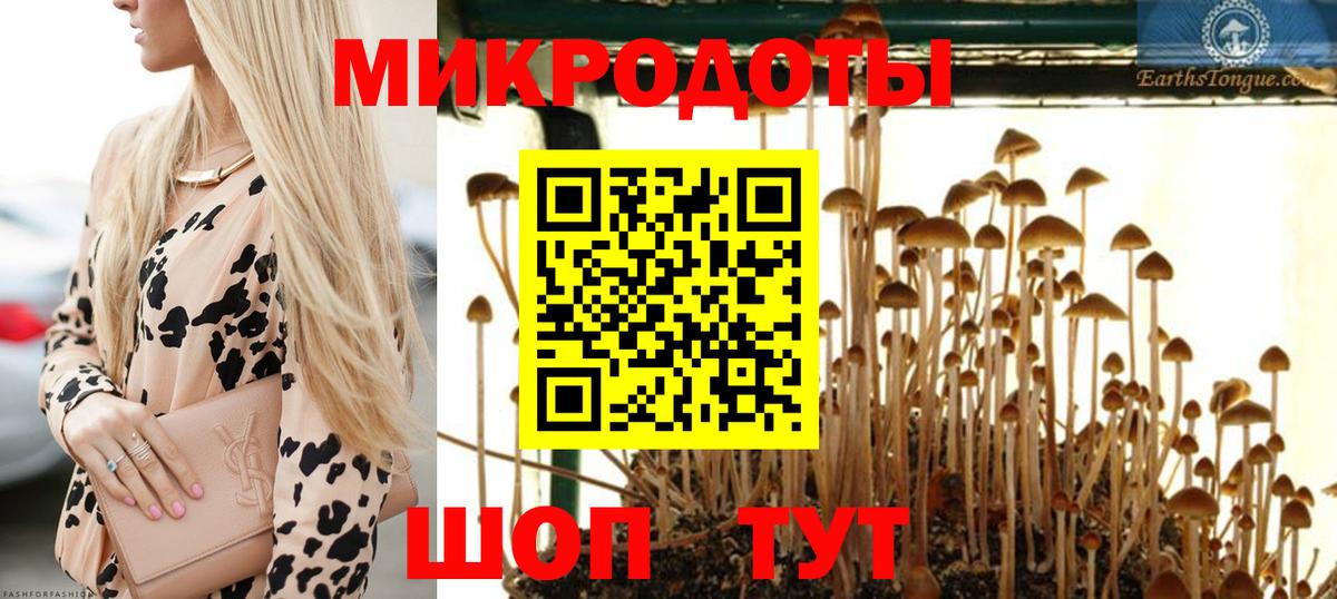 Ковров  Псилоцибиновые грибы Cubensis  Вход с VPN 